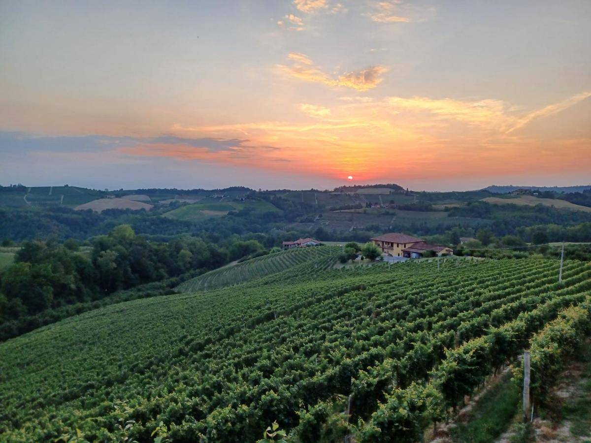 Ganze Wohnung, Casa Vacanza Elyd House in Dogliani, Langhe