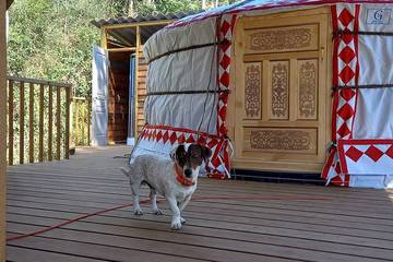 Cottage for 4 People in Carbuccia, Corse-du-Sud, Photo 4