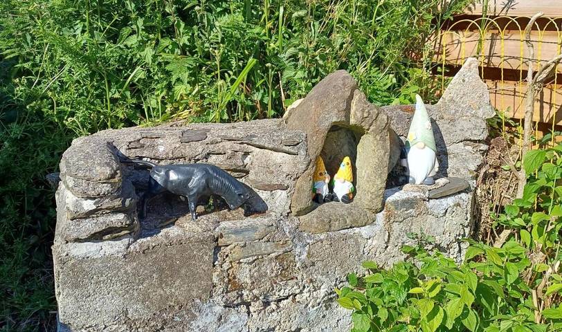 Location de vacances pour 4 personnes, avec jardin dans Lac de Guerlédan - 4