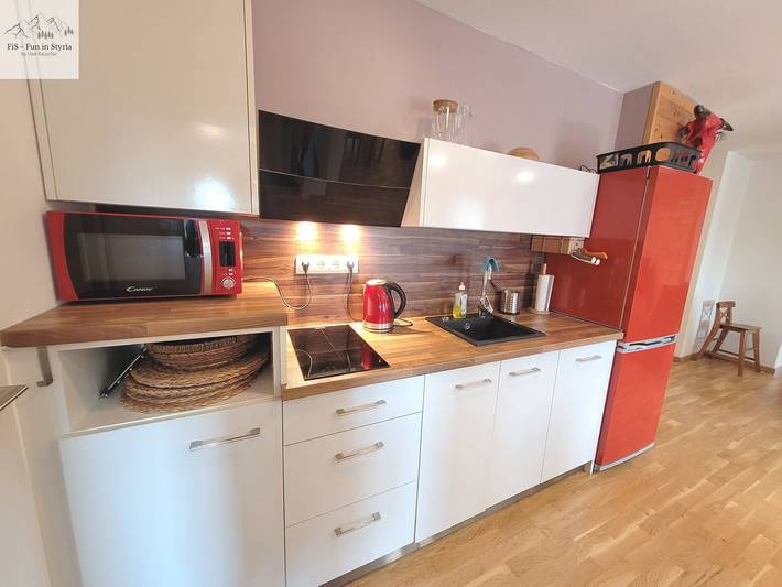 Ganze Wohnung, Apartment Alpine Tauplitz – Komfortables Wohnen mit außergewöhnlichem Bergblick in Tauplitz, Dachstein