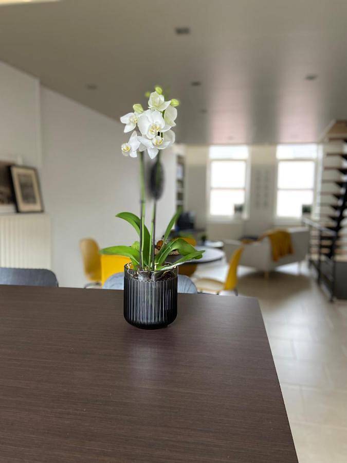 Gîte pour 4 personnes, avec terrasse à Binche - 4