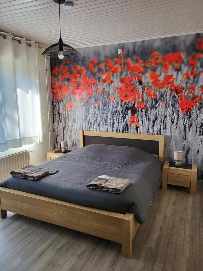 Mary's Poppies - Gîte au calme in Tournai, Hainaut
