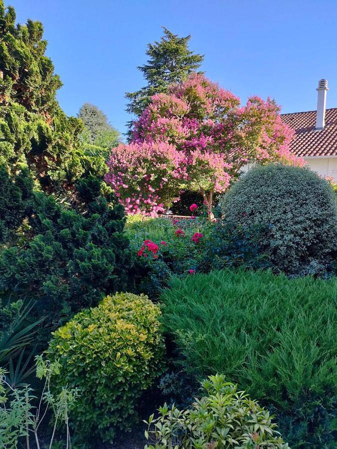Double Room with Private Bathroom in Gelos, Béarn