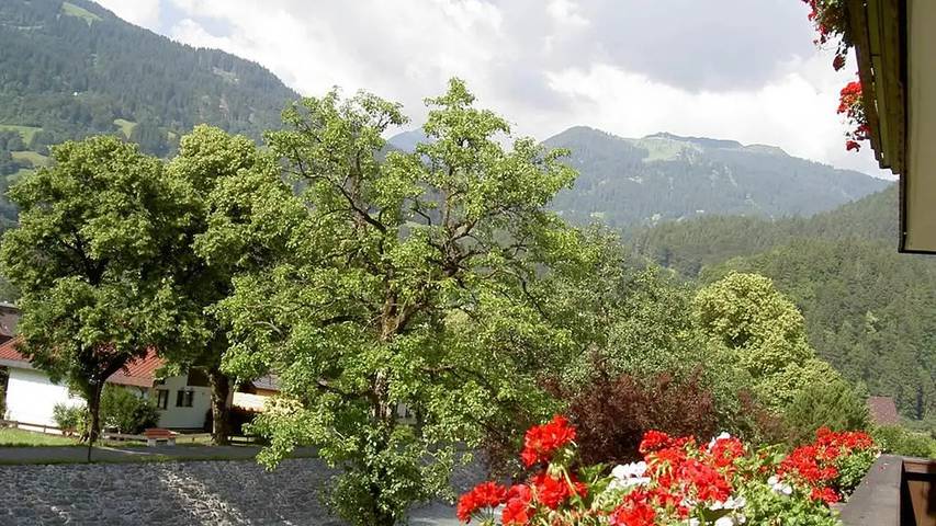 Gîte pour 5 personnes, avec jardin à Schruns - 3