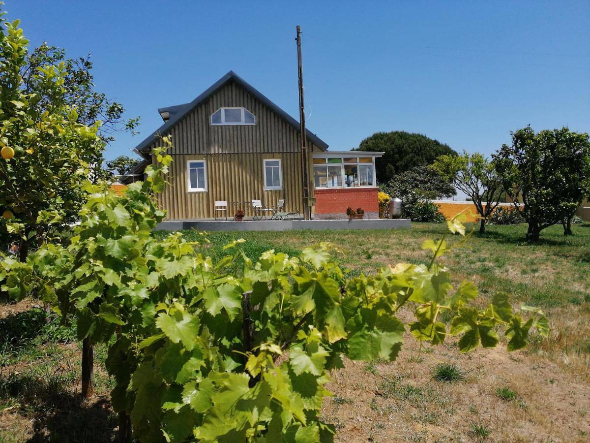 Two-Bedroom House in Bombarral, Leiria distrito