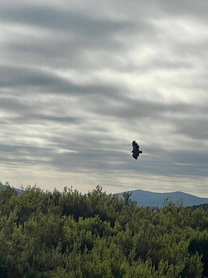Hotel para 2 personas, con terraza además de vistas y jardín en La Carballeda - 4