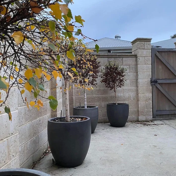 Bed and breakfast for 2 people, with garden and pool - 1