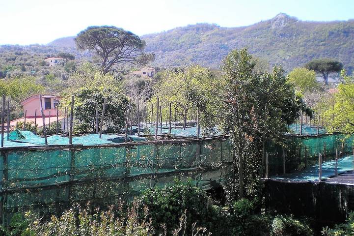 Chambre d’hôte pour 2 personnes, avec jardin - 1