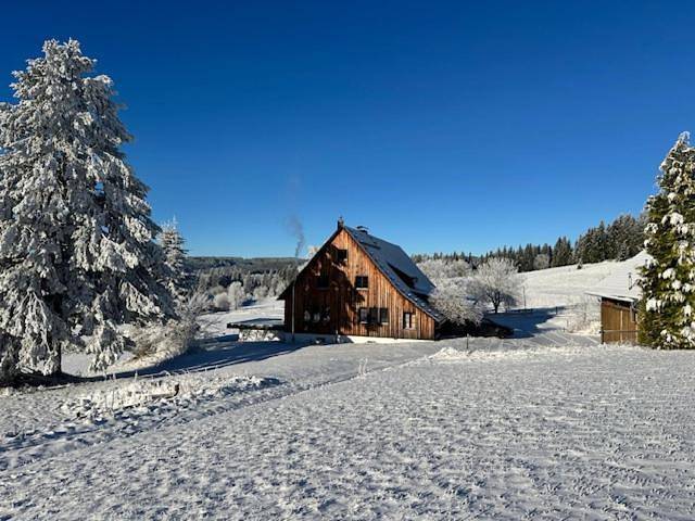 Waldhof The Tann Schluchsee Pool - 6 Br in Schluchsee, Südschwarzwald
