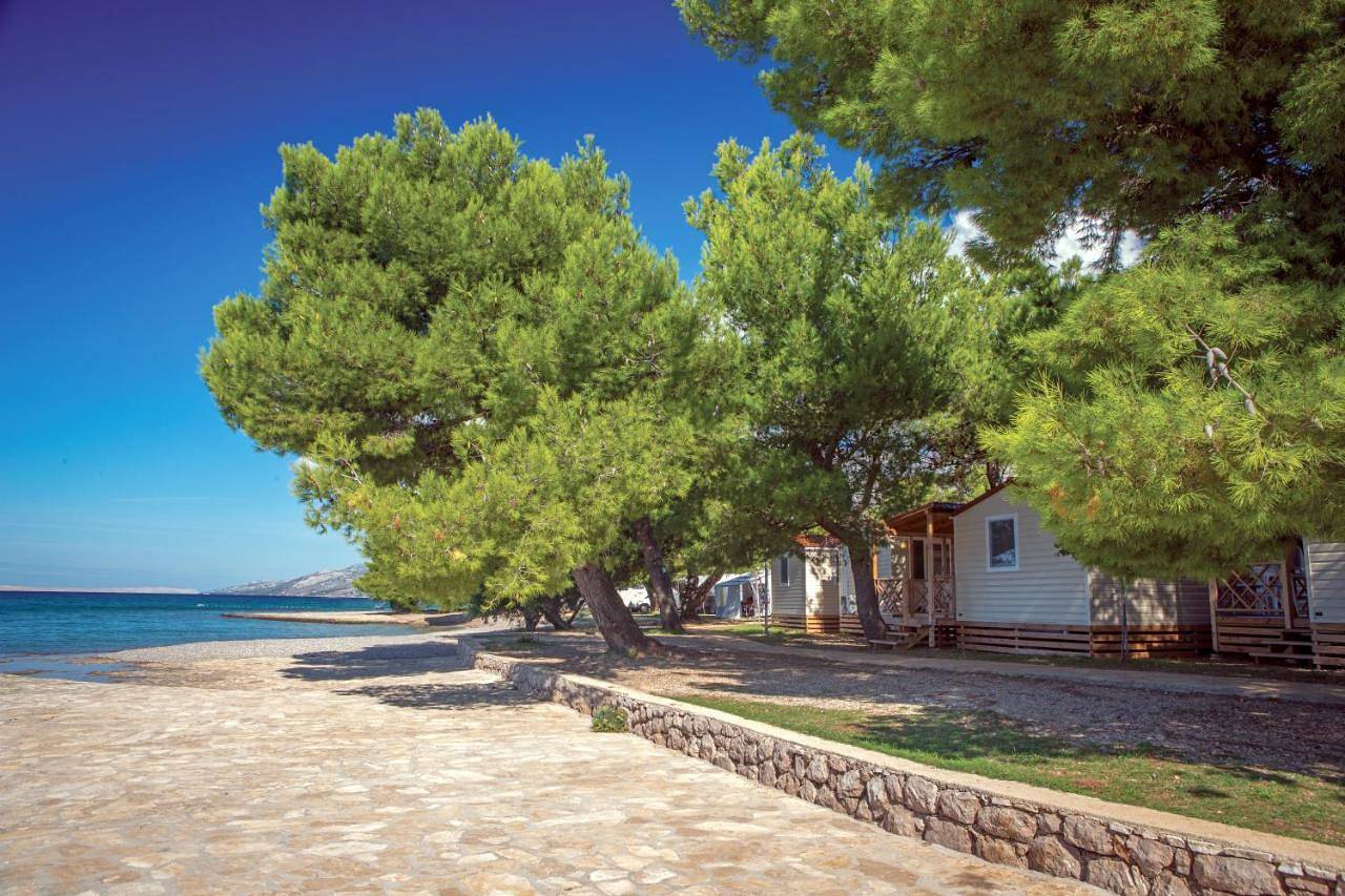 Camping Paklenica in Starigrad Paklenica, Stari Grad
