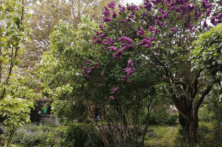 Location de vacances pour 6 personnes, avec jardin à Bonnebosq - 4