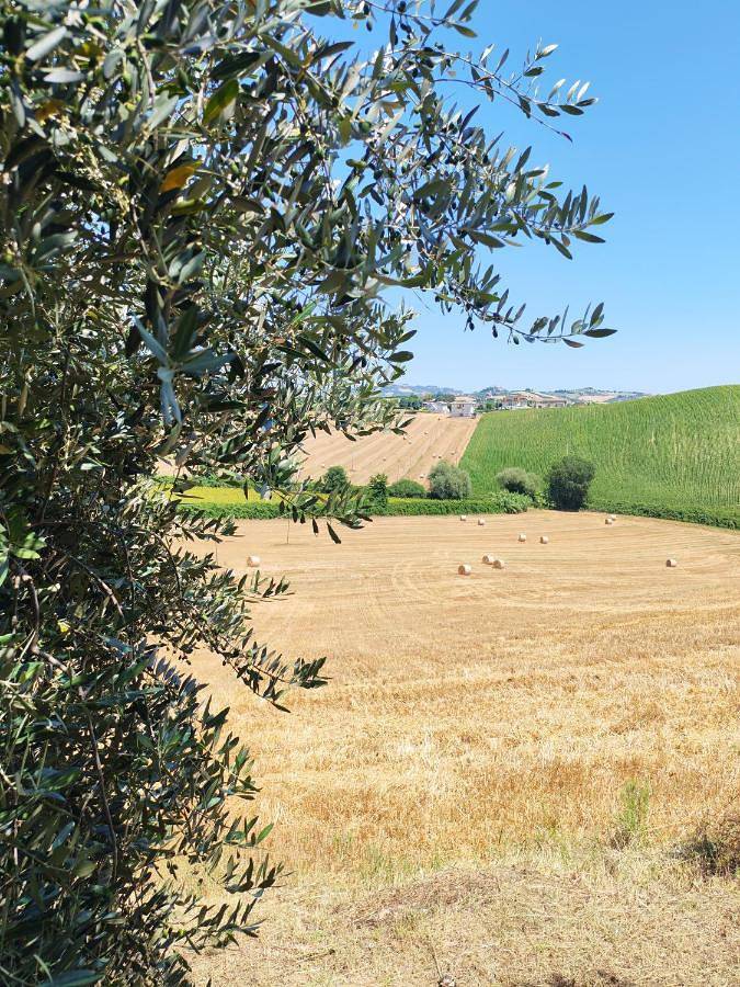 La Casa del Duca in Montalto delle Marche, Ascoli Piceno Provinz