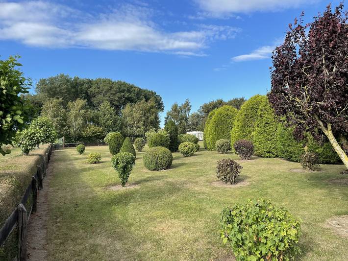 Ferienwohnung, mit Garten in Sagard - 3