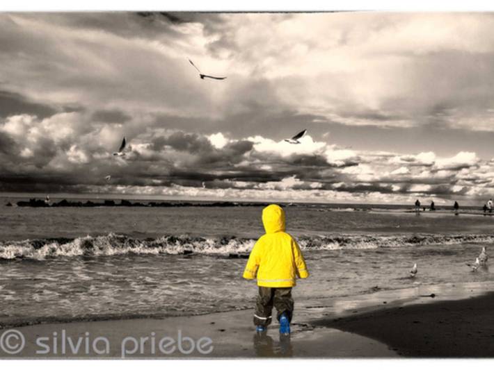 Ferienwohnung für 5 Personen, mit Garten, mit Haustier in Ahrenshoop - 3