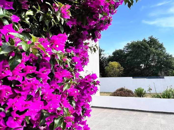 Gîte pour 4 personnes, avec jardin et piscine à Santa-Lucia-di-Moriani - 3