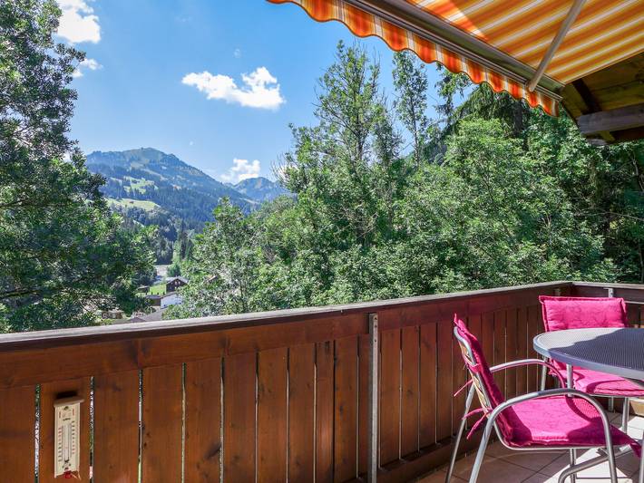 Ganze Wohnung, Belmi in Saanenmöser, Zweisimmen