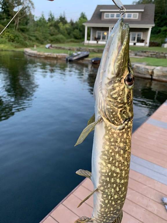 Peaceful Private Waterfront Home in Jefferson County (NY)