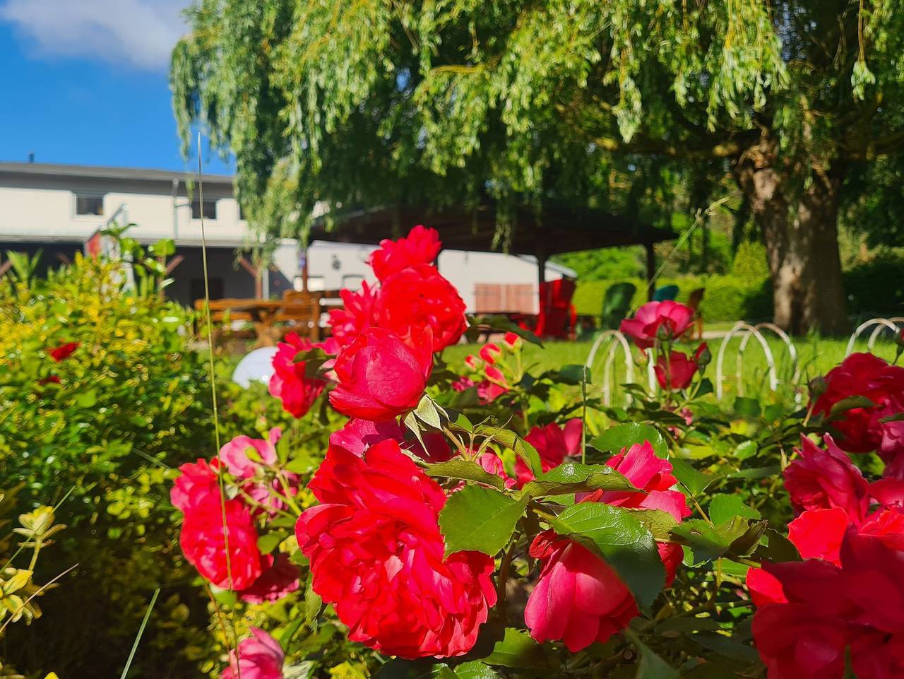 Ganze Ferienwohnung, Landurlaub nahe Ostseebad Rerik - Fewo 2/ 2-Raum (45m²; 1-2 Pers.) in Biendorf, Neubukow-Salzhaff