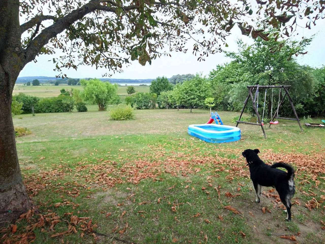 Ganze Ferienwohnung, Ferienwohnung Zum Seeblick in Malchiner See, Dahmen