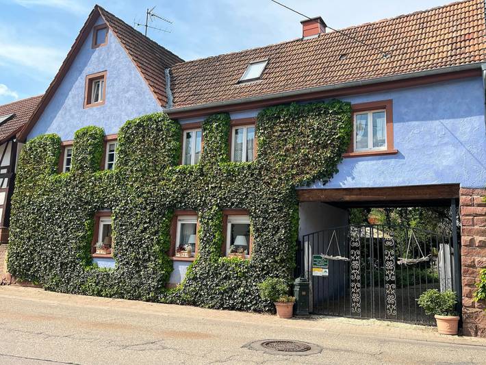 Ferienwohnung für 5 Personen, mit Terrasse und Garten, kinderfreundlich in Silz (Pfalz)