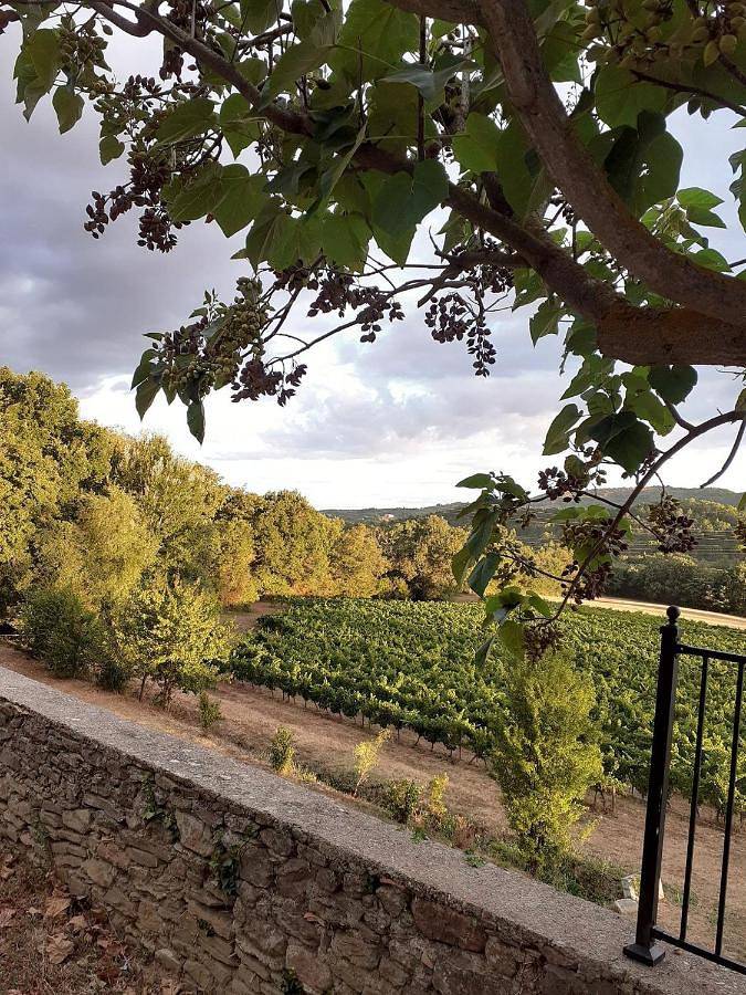 Holiday Home in Saint-Polycarpe, Région de Limoux