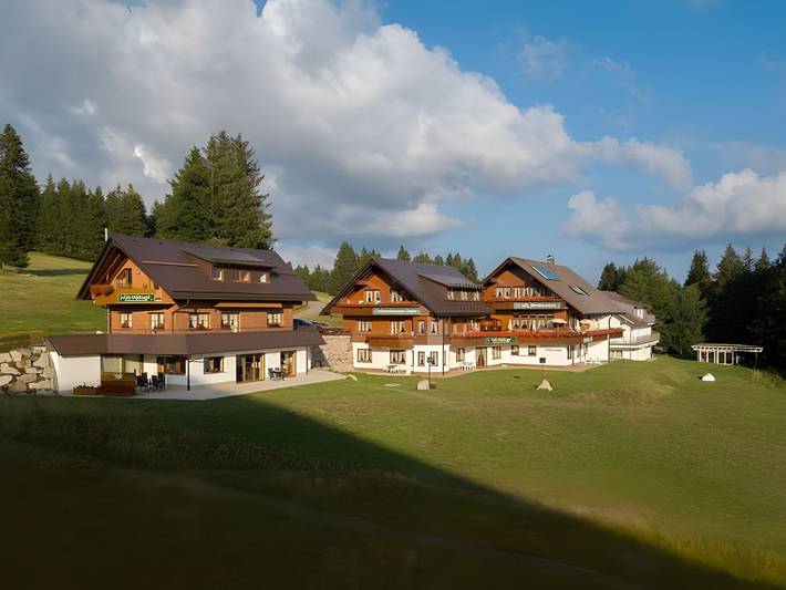Ferienwohnung für 2 Personen, mit Garten und Sauna sowie Terrasse, mit Haustier in Feldberg