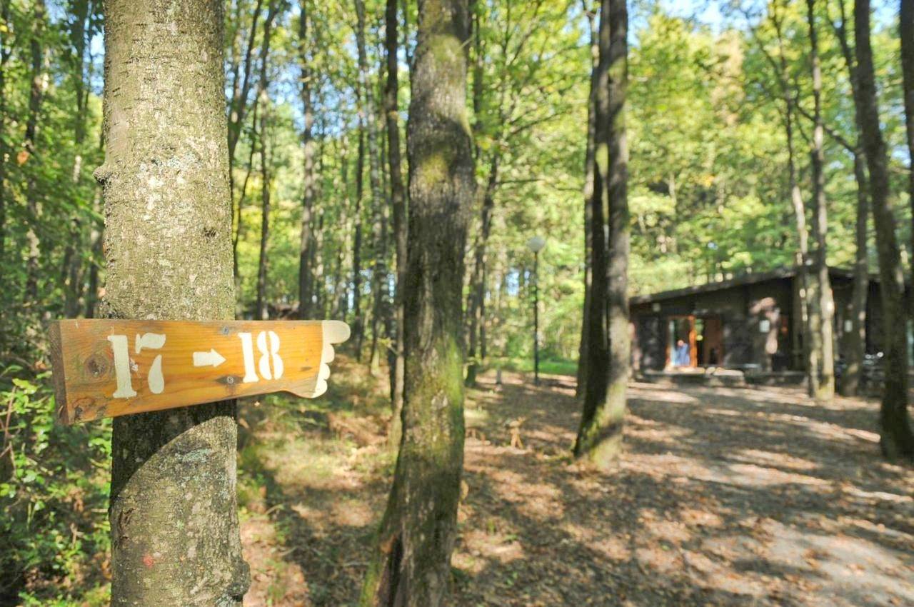 Two-Bedroom Bungalow - Independant in Viroinval, Parc Naturel Viroin Hermeton