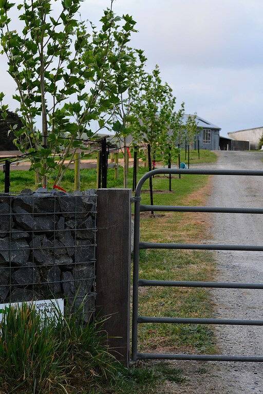 Bed And Breakfasts for 2 Guests in Fish Creek (Victoria), Shire of South Gippsland