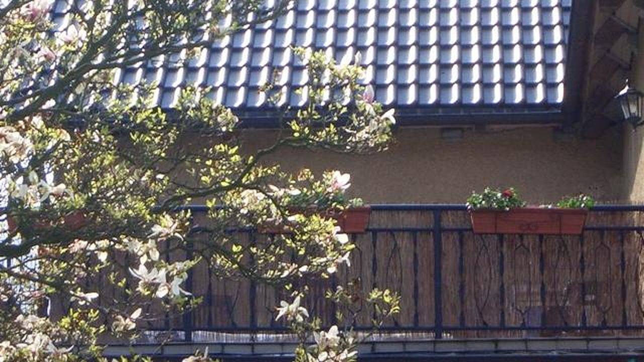 Ganze Ferienwohnung, Ferienwohnung für 6 Personen (122 m²) in Thale in Thale, Harzvorland