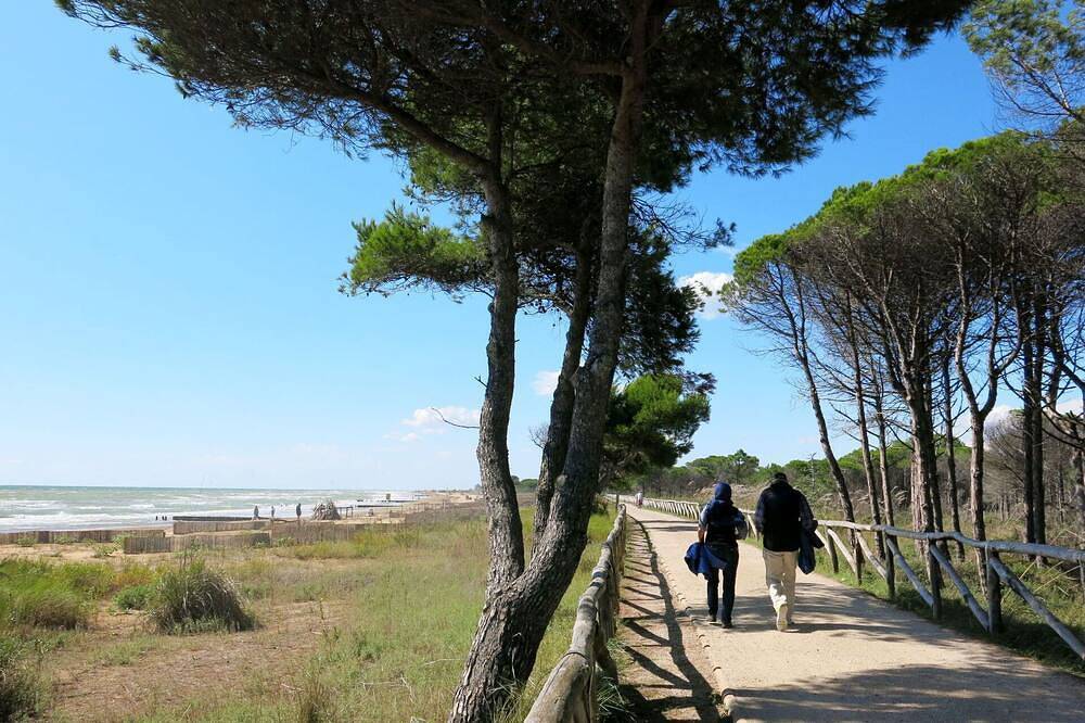 Appartamento vacanze a Provincia di Venezia a partire da 83€ a notte