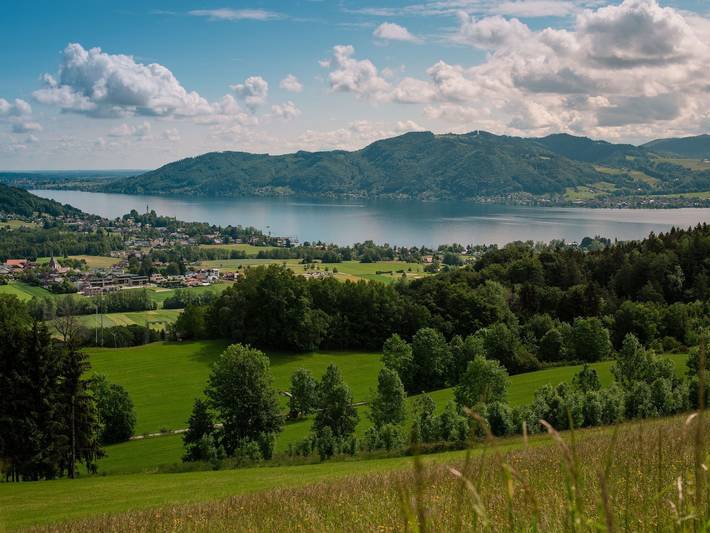 Hotel für 4 Personen, mit Balkon und Pool sowie Garten, kinderfreundlich in Oberösterreich - 3