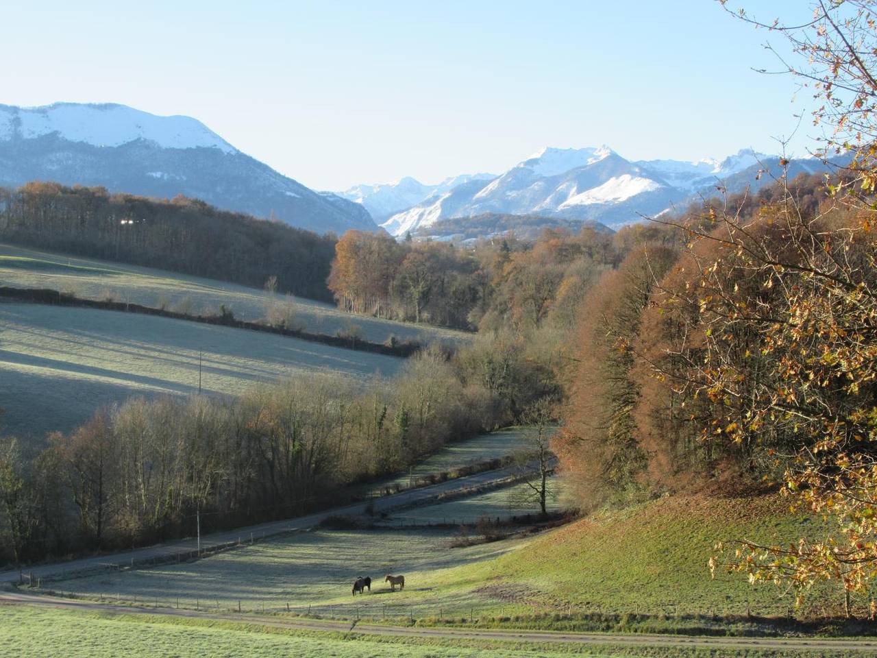 Marty in Rébénacq, Béarn