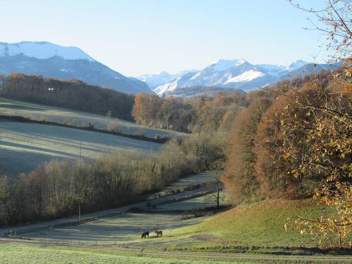 Gîte pour 6 personnes, avec terrasse et jardin dans Vallée d'Ossau - 3