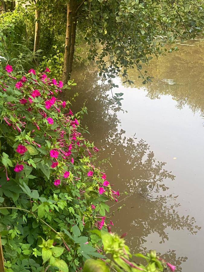Appartement de vacances pour 2 personnes, avec vue sur le lac et jardin ainsi que terrasse et vue dans Yonne - 3