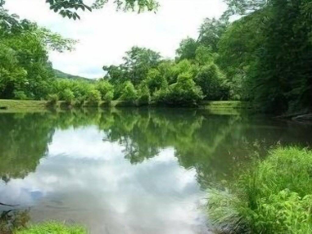 Kingfish Cabin / Niedliche Blockhütte / Niedrige Preise / Gemütlich - In der Nähe von High Country Sehenswürdigkeiten - 10% Last Minute Rabatt - Rabatt im Online-Angebot enthalten in Blue Ridge Parkway, Seven Devils