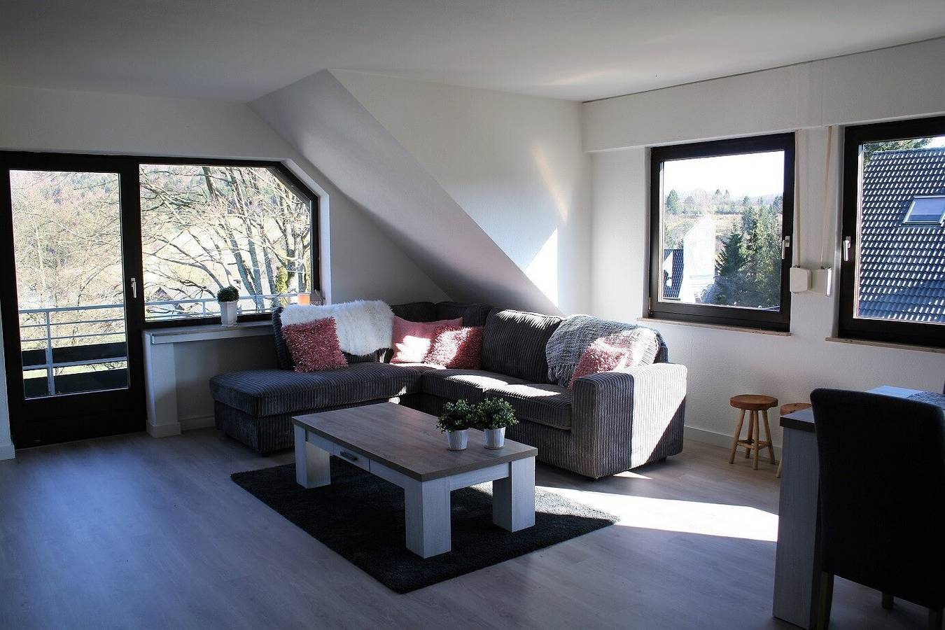 Ganze Wohnung, Apartment Auf der Platte  in Elkeringhausen, Winterberg