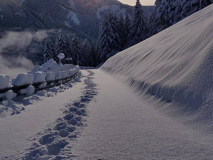 Bauernhof für 4 Personen, mit Balkon, mit Haustier in den Dolomiten - 3