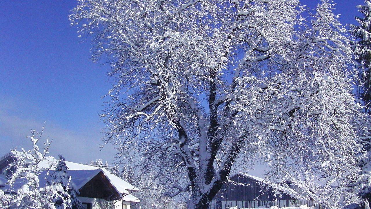 Ganze Ferienwohnung, Ferienwohnung für 5 Personen (60 m²) in Siegsdorf in Siegsdorf, Bayerische Alpen