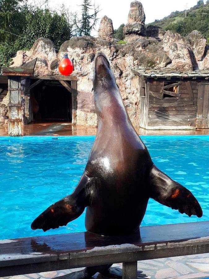 Casa rural para 10 personas, con jardín y piscina en Besaya - 2