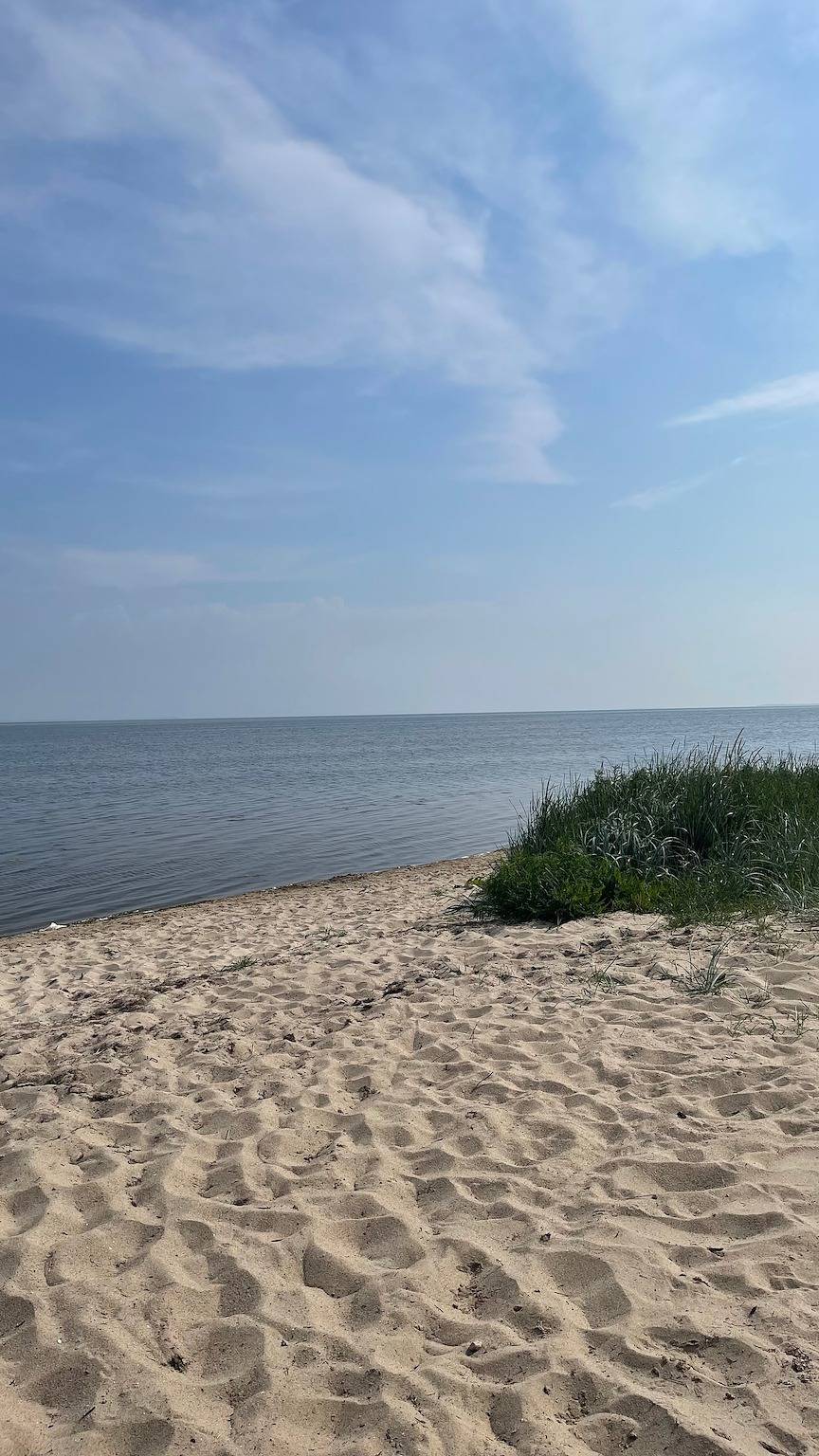 Seesternchen in Loissin, Vorpommern Greifswald