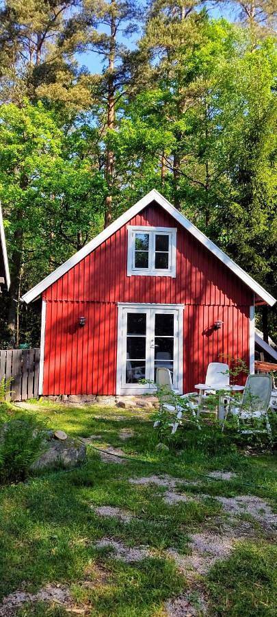 Ferienhaus für 4 Personen, mit Ausblick und Terrasse, mit Haustier - 1
