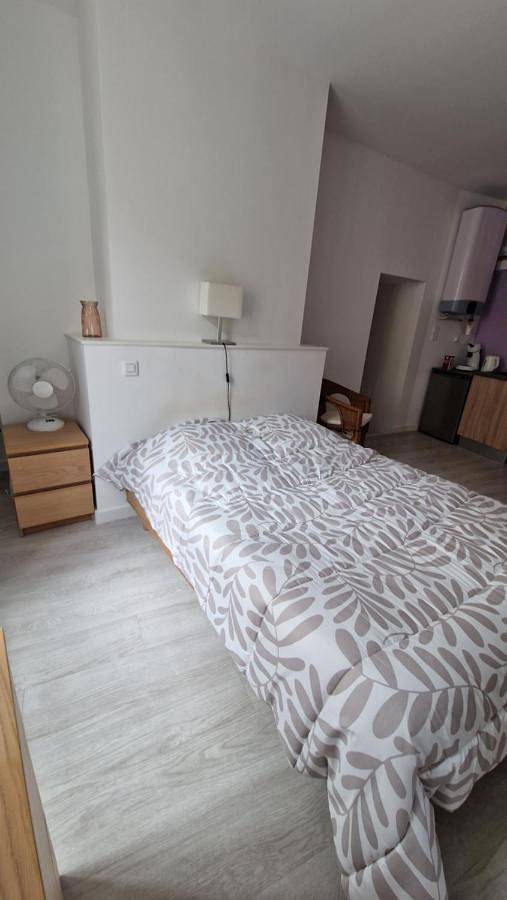 Gîte pour 2 personnes à Bourgueil - 3