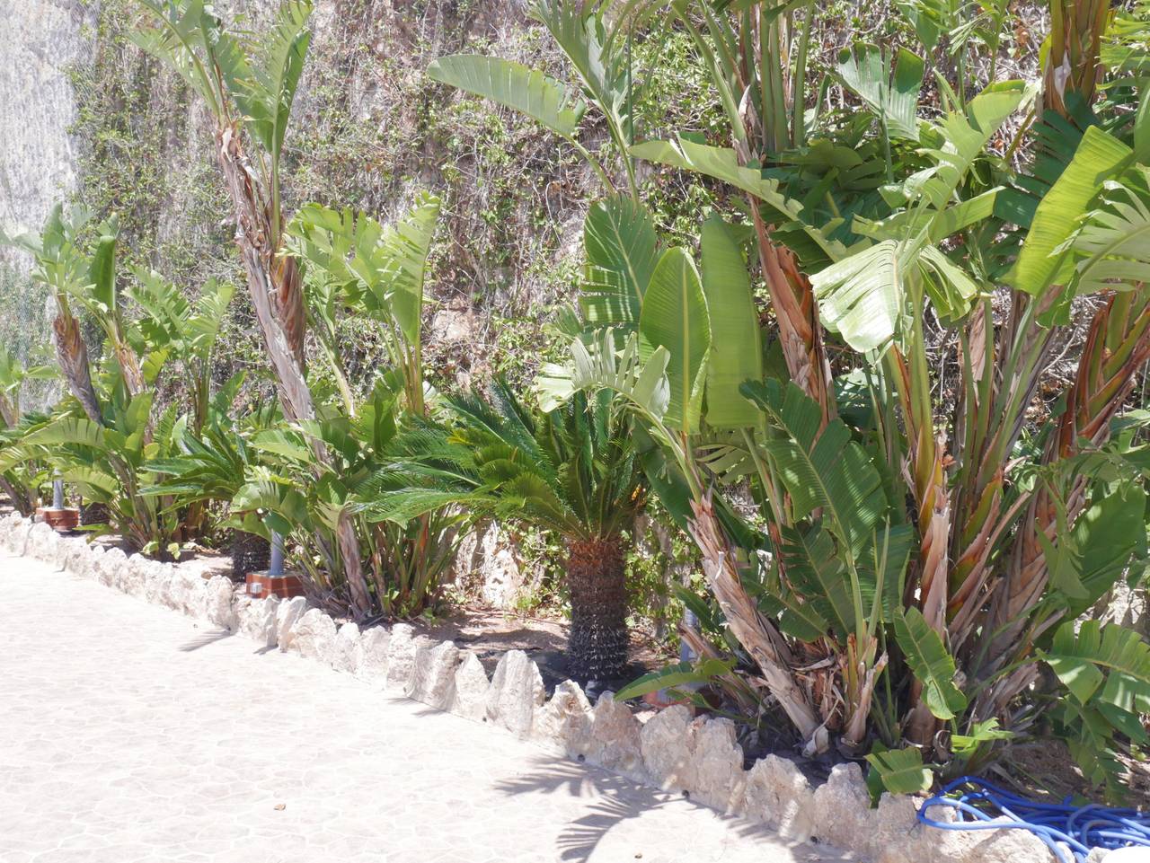Ganze Wohnung, Ferienwohnung für 6 Personen mit Terrasse in Cullera, Costa de Valencia