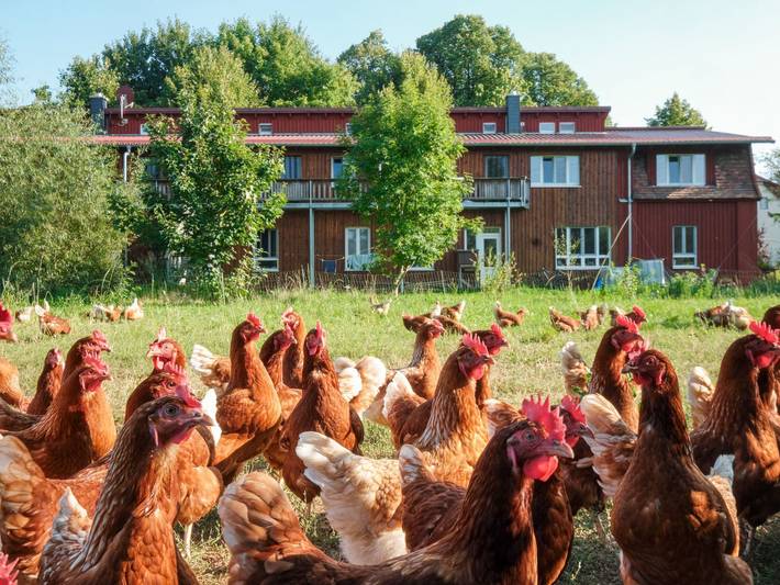 Ferienwohnung für 2 Personen, mit Garten, kinderfreundlich am Schweriner See