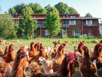 Ferienwohnung für 2 Personen, mit Garten, kinderfreundlich am Schweriner See