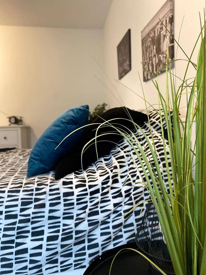 Appartement entier, Studio Chaleureux Tout équipé - Wifi - Parking gratuit - Proche de la Nature in Weißenburg, Région de Wissembourg