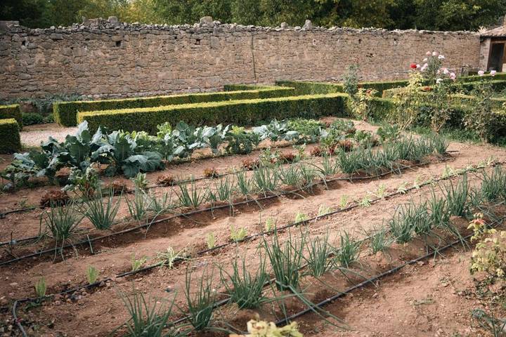 Hôtel pour 2 personnes, avec terrasse et piscine ainsi que jardin et jacuzzi, adapté aux familles à Arnes - 3