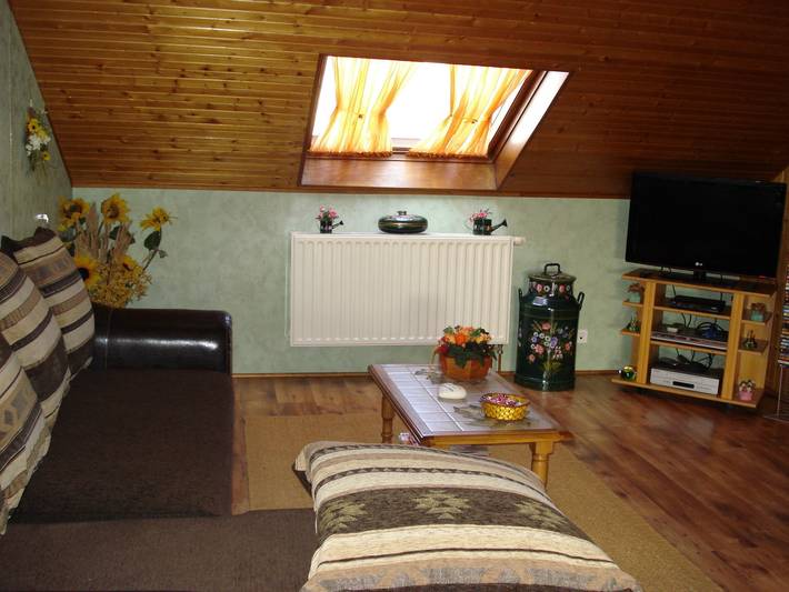 Gîte pour 5 personnes, avec terrasse, animaux acceptés dans Sarrebourg - 3