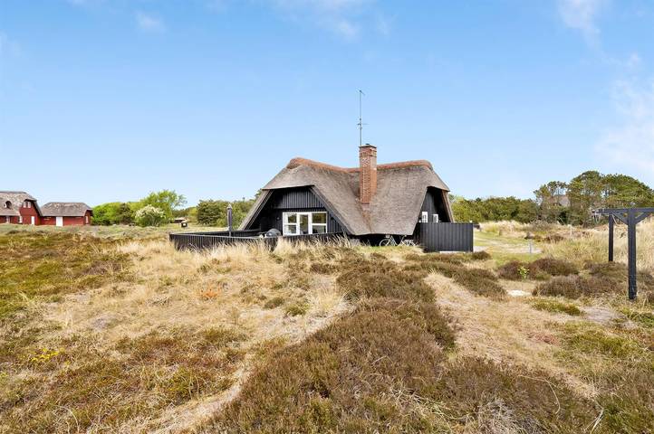 Ferienhaus für 5 Personen, mit Terrasse und Sauna in Blavand - 2