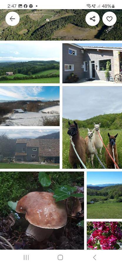 Gîte pour 2 personnes, avec jacuzzi à Sonnac-sur-l'Hers - 4